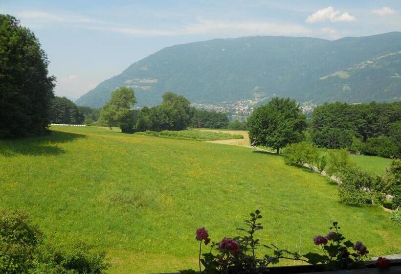 דירת חדר, Pension Strauß