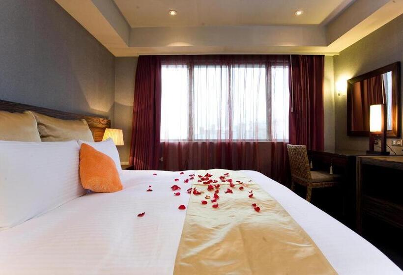 اتاق سوپریور با چشمانداز شهر, H.m.