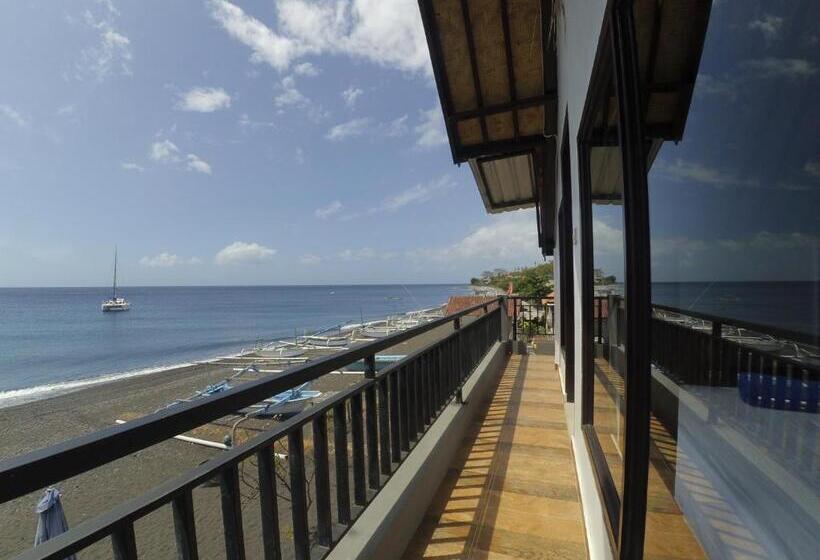 חדר משפחתי, The Bbq Guest House