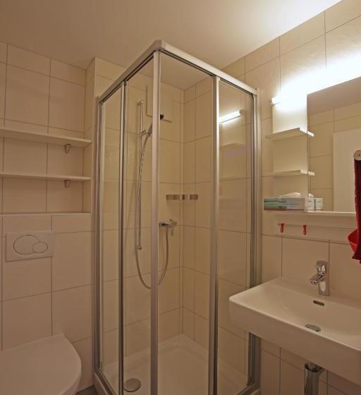 חדר קומפורט יחיד, Landgasthof Hirschen