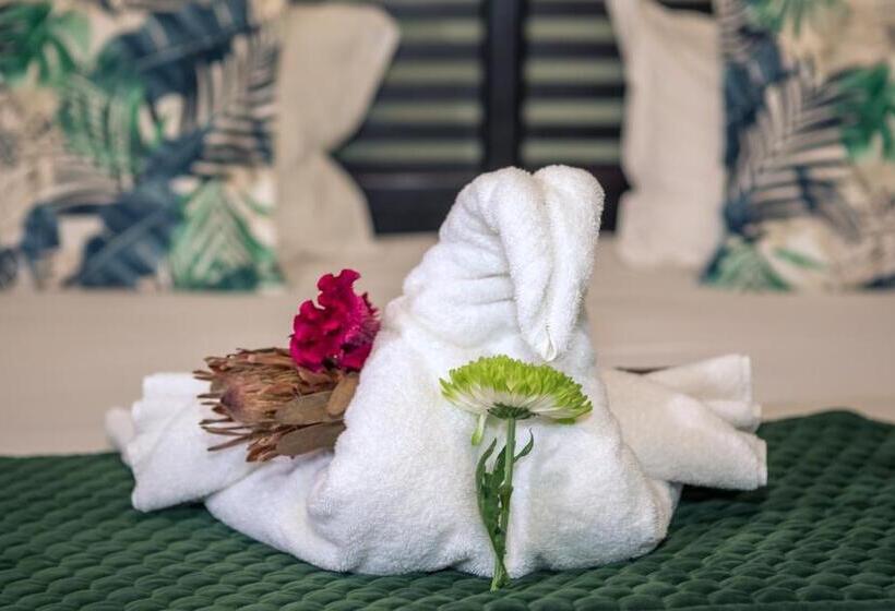 デラックスルーム, Big 5 Guest House Witbank