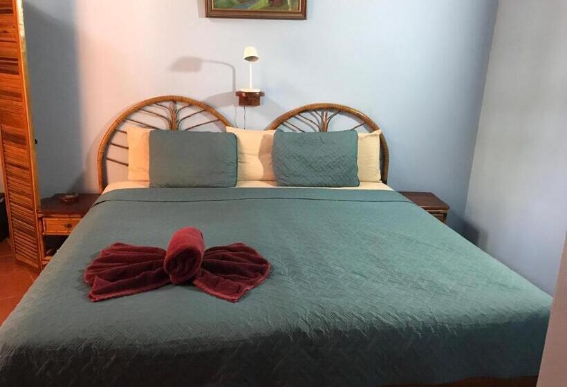 דירת חדר בקומת קרקע, Fenix Hotel   On The Beach