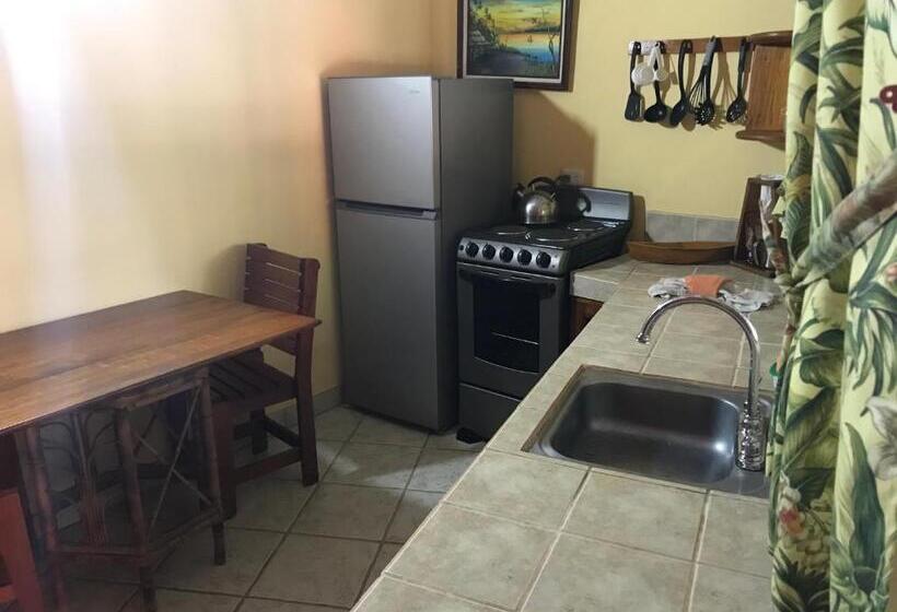 דירת חדר בקומת קרקע, Fenix Hotel   On The Beach