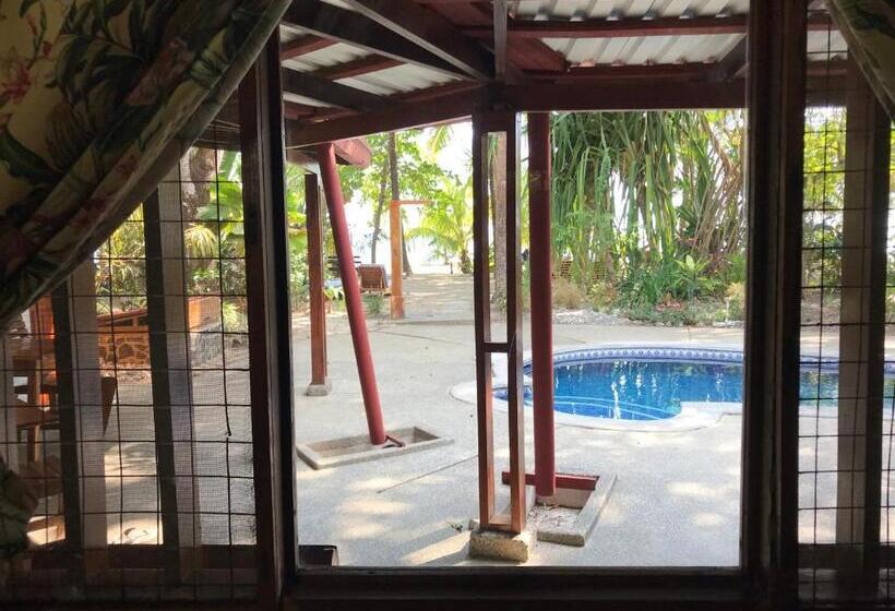 דירת חדר בקומת קרקע, Fenix Hotel   On The Beach