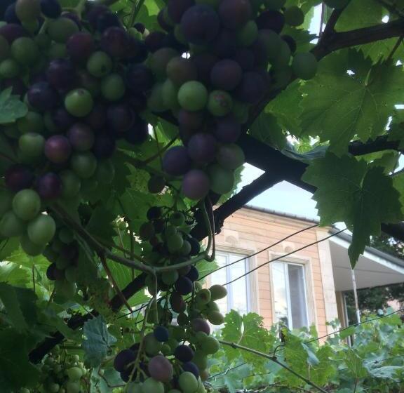 اتاق استاندارد با چشم‌انداز باغ, Giorgi's Homestay