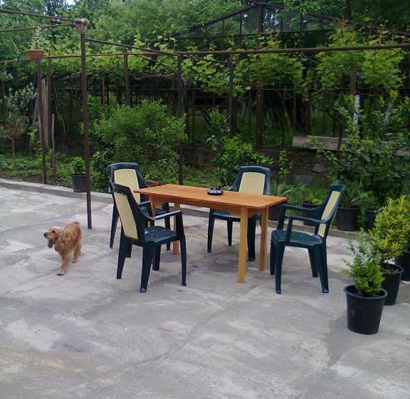 اتاق استاندارد چهار تخته, Giorgi's Homestay