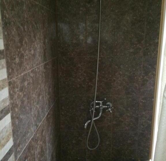 اتاق خانوادگی, Giorgi's Homestay