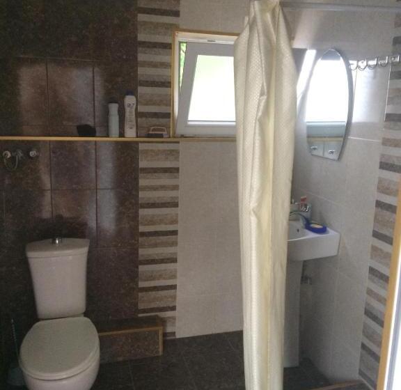 اتاق خانوادگی, Giorgi's Homestay