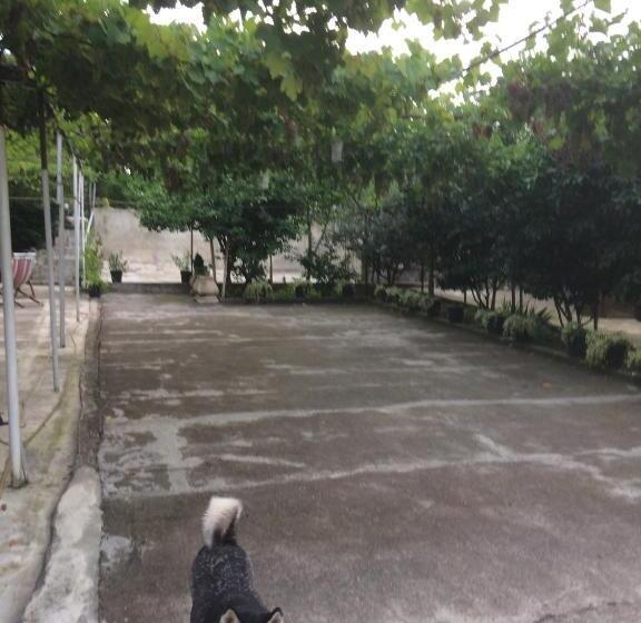 اتاق خانوادگی, Giorgi's Homestay