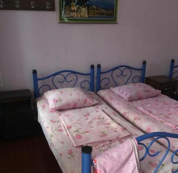 اتاق خانوادگی, Giorgi's Homestay