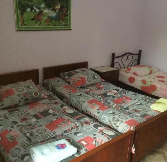 Standard Triple Room with Terrace, Giorgi's Homestay