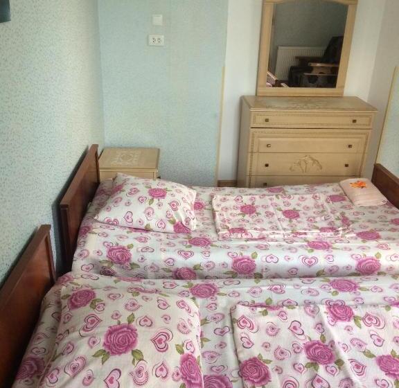 اتاق استاندارد با چشم‌انداز باغ, Giorgi's Homestay