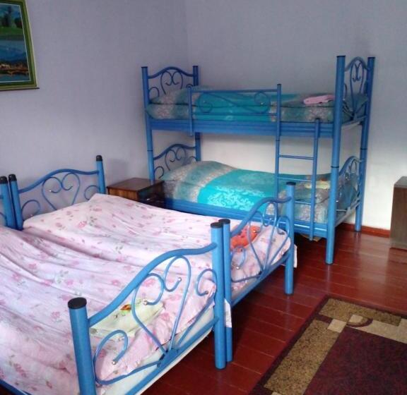 اتاق خانوادگی, Giorgi's Homestay