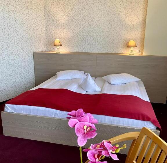 스탠다드 룸, Pensiunea Rix Rooms