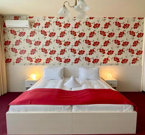 غرفة قياسية, Pensiunea Rix Rooms