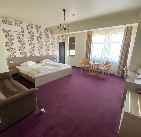 غرفة سوبيريور, Pensiunea Rix Rooms