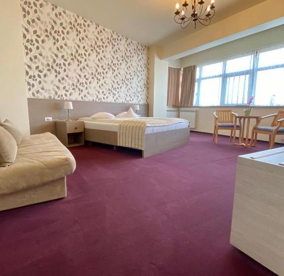 غرفة سوبيريور, Pensiunea Rix Rooms