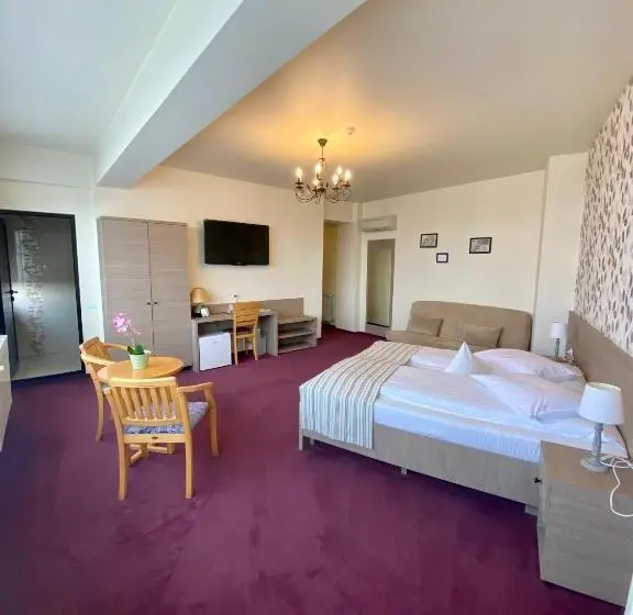 スーペリアールーム, Pensiunea Rix Rooms