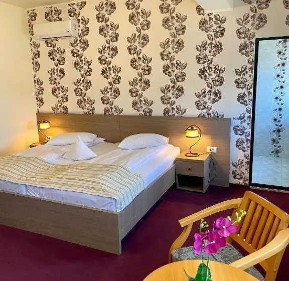 スーペリアールーム, Pensiunea Rix Rooms