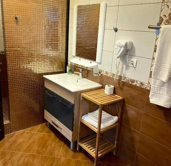 1ベッドルームのデラックスアパートメント, Pensiunea Rix Rooms