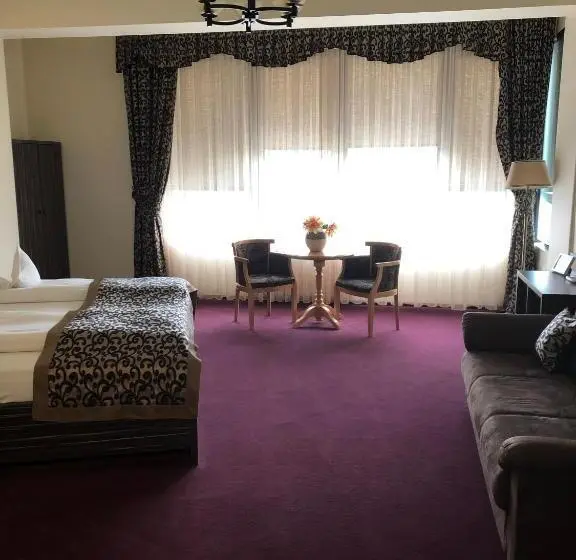 1ベッドルームのデラックスアパートメント, Pensiunea Rix Rooms