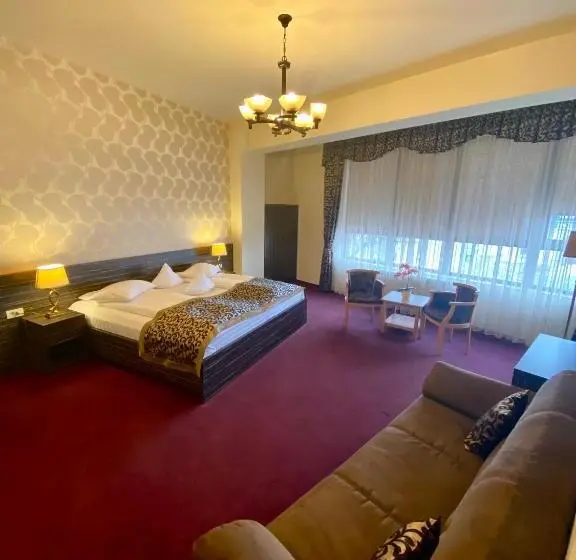1ベッドルームのデラックスアパートメント, Pensiunea Rix Rooms