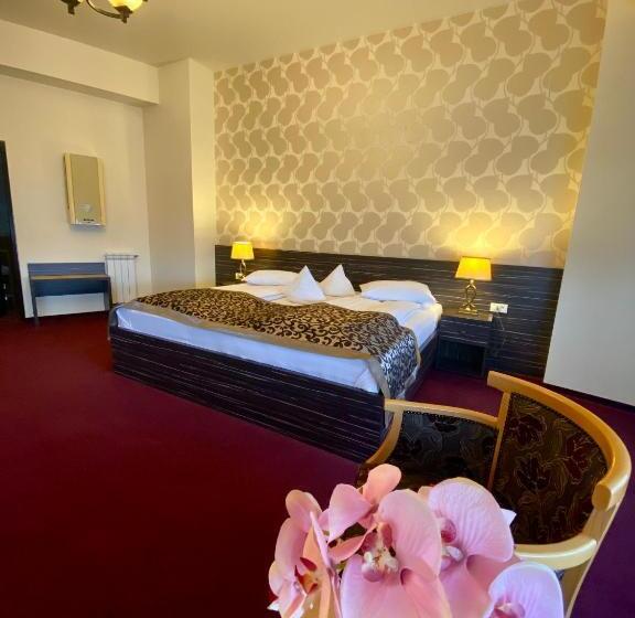 شقة ديلوكس غرفة واحدة, Pensiunea Rix Rooms