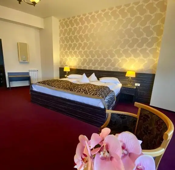 1ベッドルームのデラックスアパートメント, Pensiunea Rix Rooms