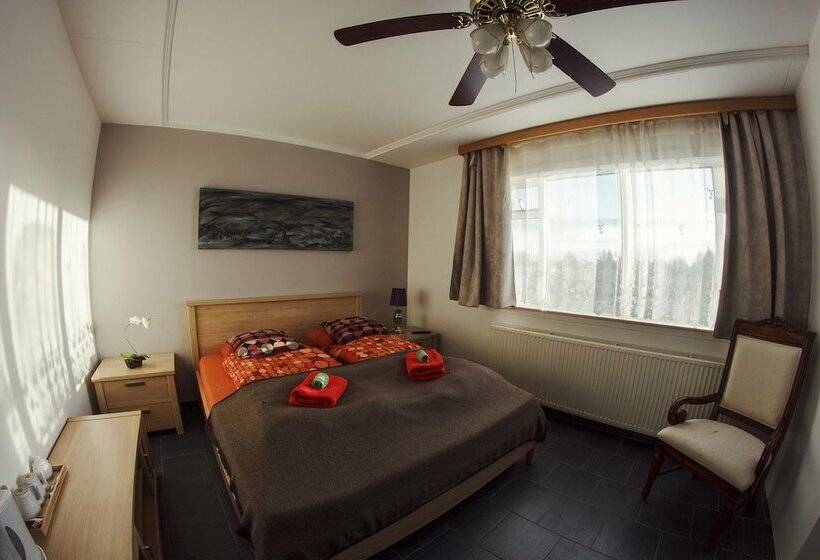 Deluxe Room, Selfoss Apartments