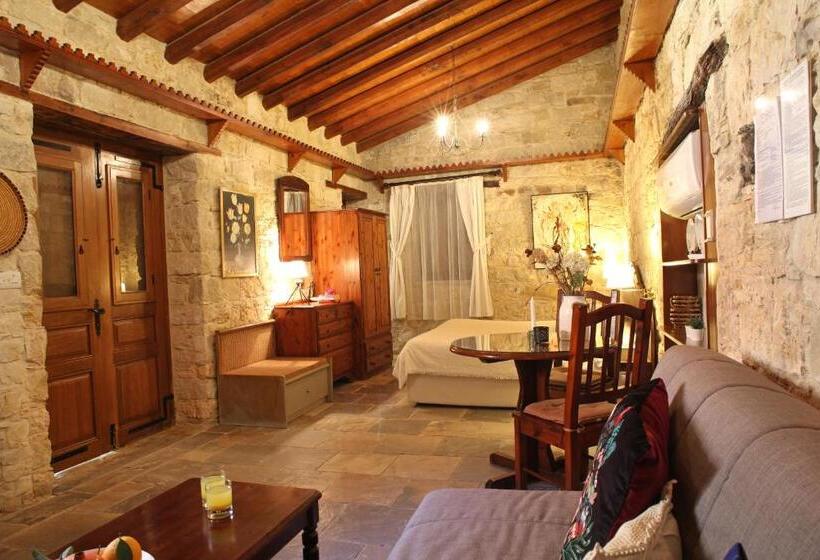 חדר סטודיו סטנדרד, Agrovino Lofou