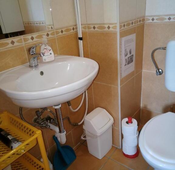 스탠다드 룸 공동 욕실, Budai Vám Apartmanház