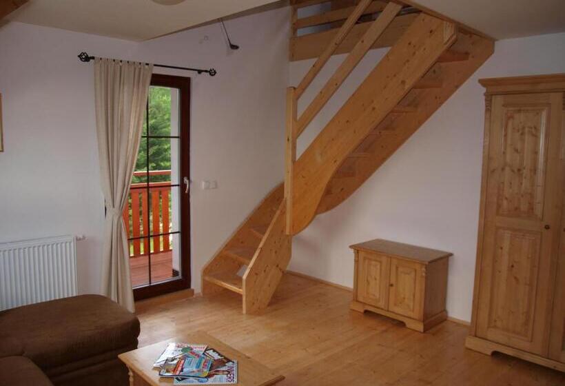 آپارتمان دوبلکس 1 خوابه, Penzion Vital