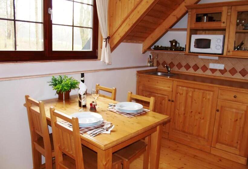 آپارتمان دوبلکس 1 خوابه, Penzion Vital