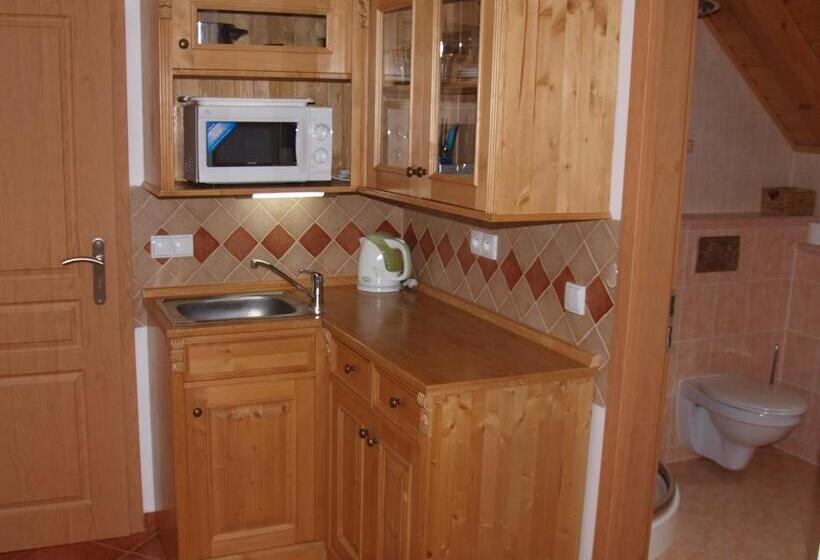 آپارتمان دوبلکس 1 خوابه, Penzion Vital