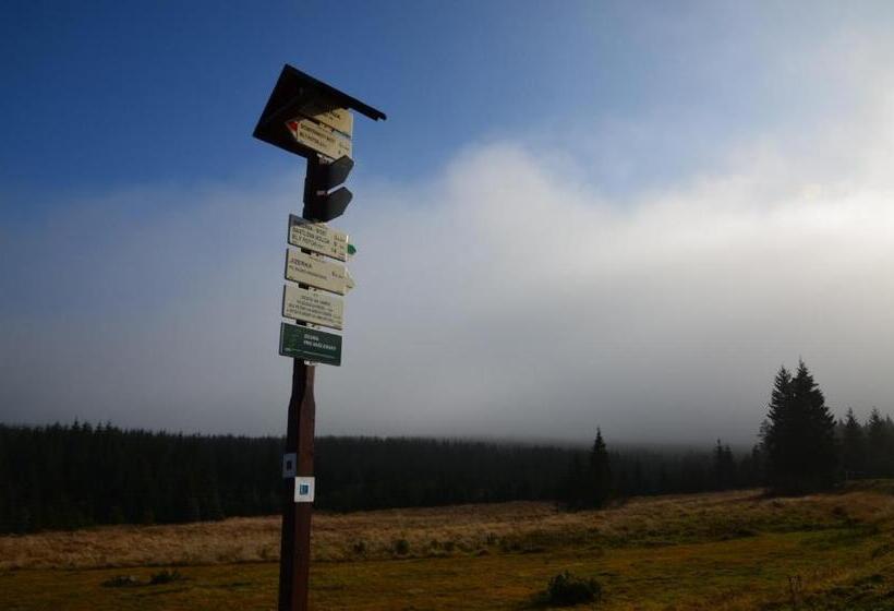 آپارتمان دوبلکس 1 خوابه, Penzion Vital