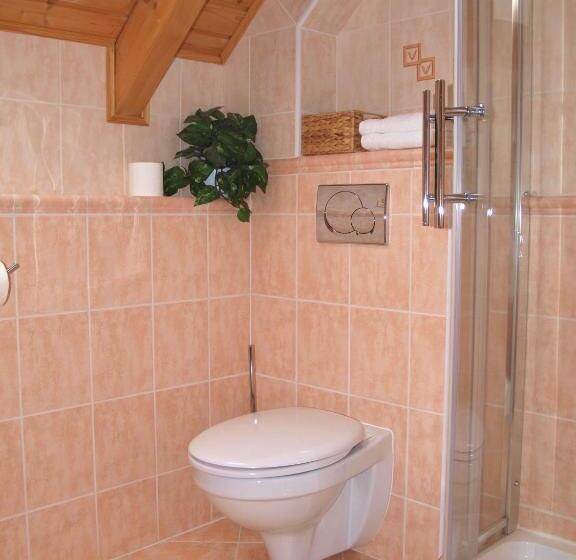 آپارتمان دوبلکس 1 خوابه, Penzion Vital