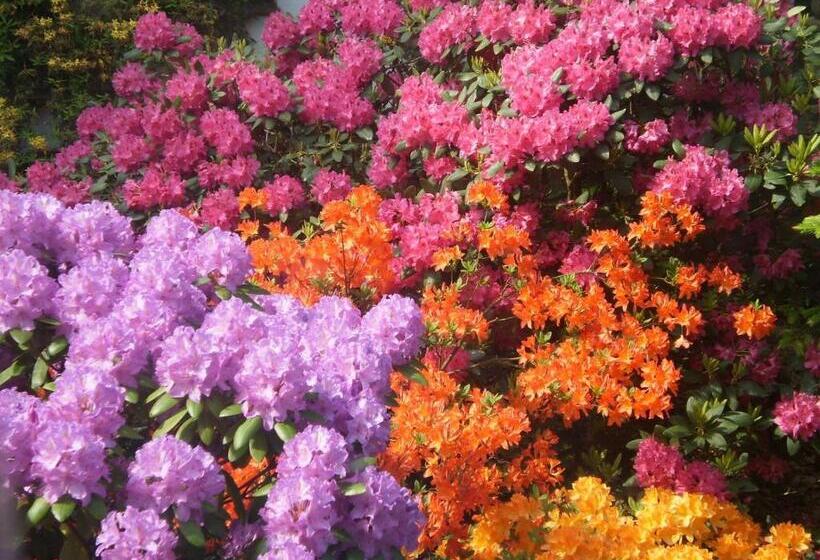 آپارتمان دوبلکس 1 خوابه, Penzion Vital