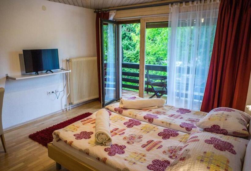 آپارتمان 1 خوابه با چشم‌انداز باغ, Apartments And Rooms Villa Vive