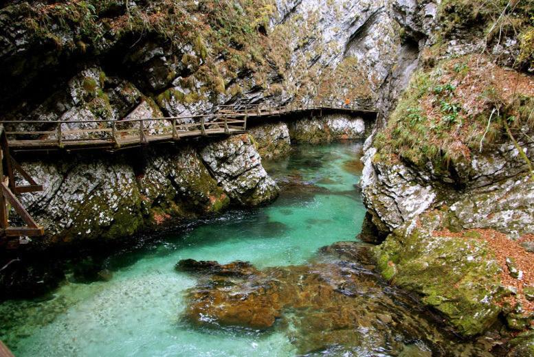 استودیوی استاندارد اینتریور, Apartments And Rooms Villa Vive