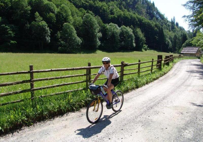 استودیوی استاندارد اینتریور, Apartments And Rooms Villa Vive