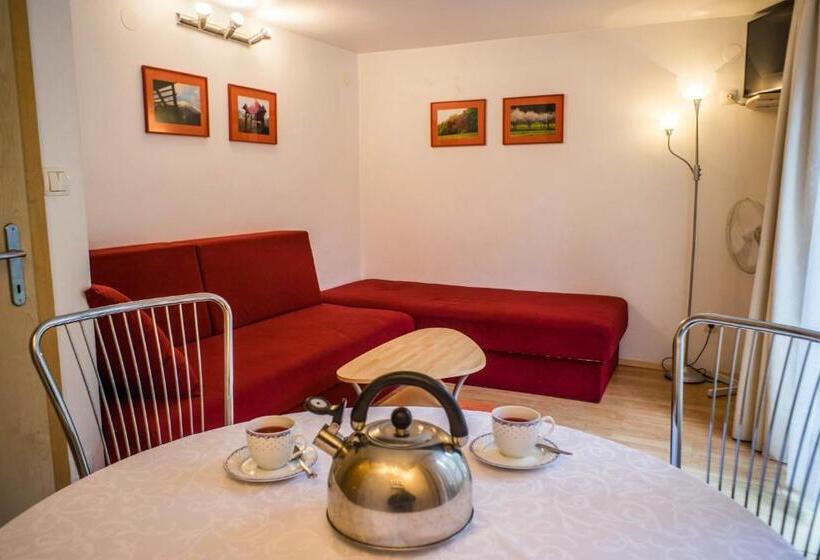 آپارتمان 1 خوابه با چشم‌انداز باغ, Apartments And Rooms Villa Vive