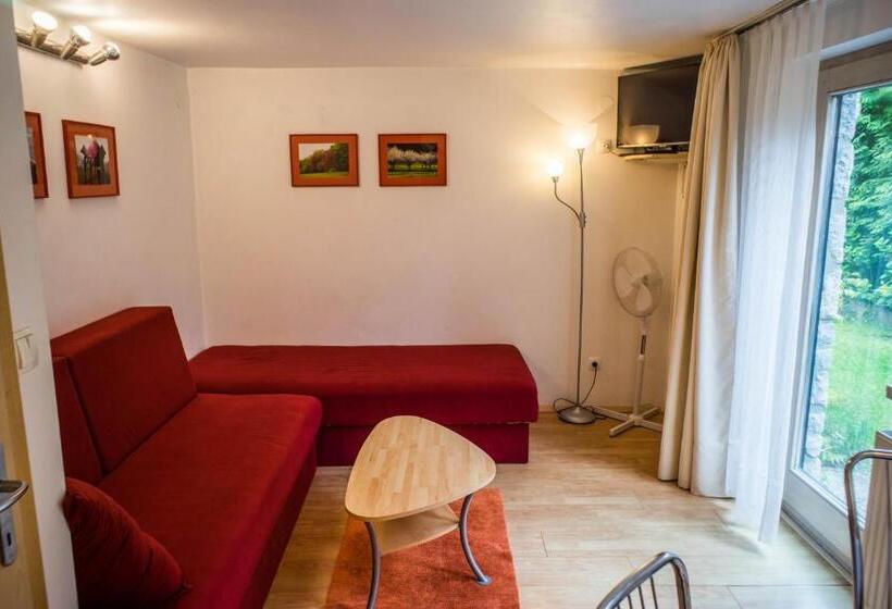 آپارتمان 1 خوابه با چشم‌انداز باغ, Apartments And Rooms Villa Vive