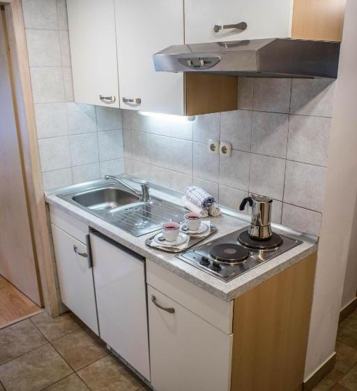 آپارتمان 1 خوابه با چشم‌انداز باغ, Apartments And Rooms Villa Vive