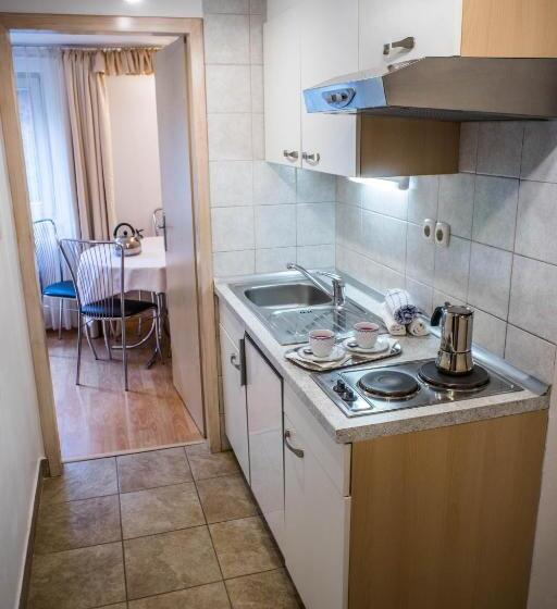 آپارتمان 1 خوابه با چشم‌انداز باغ, Apartments And Rooms Villa Vive