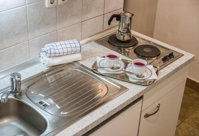 آپارتمان 1 خوابه با چشم‌انداز باغ, Apartments And Rooms Villa Vive