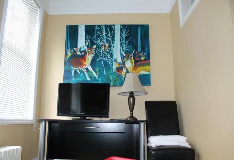 Номер Стандарт, The Novel Stay