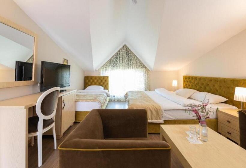 Triple Room Sea View, Vila Arber