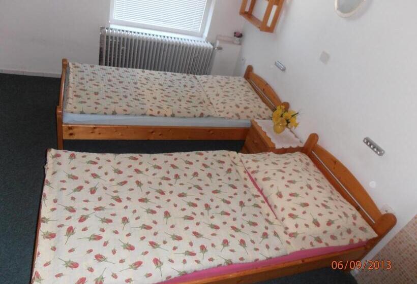 스탠다드 룸, Zelený Dom