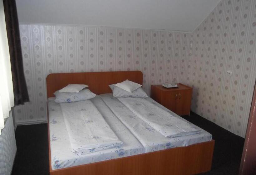 חדר סטנדרט, Pensiunea Contour