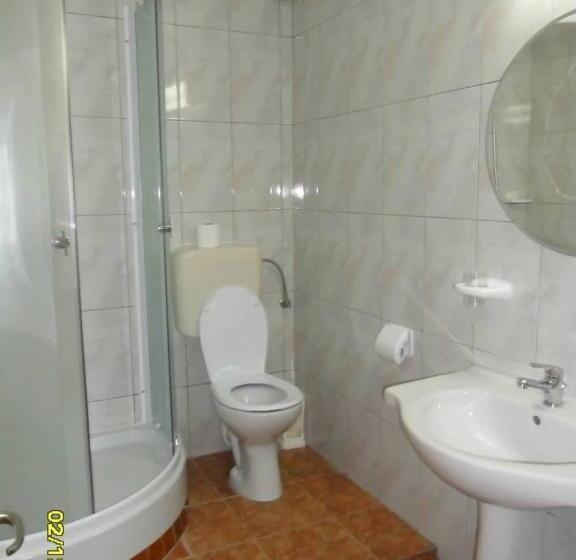 חדר סטנדרט לארבעה, Pensiunea Contour